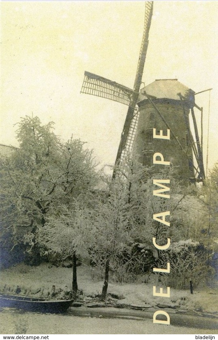 SINT-GILLIS-bij-DENDERMONDE (O.Vl.) - Molen/moulin - Zeer Zeldzame Opname Van De Zwijvekemolen Ca. 1900 In De Winter - Dendermonde