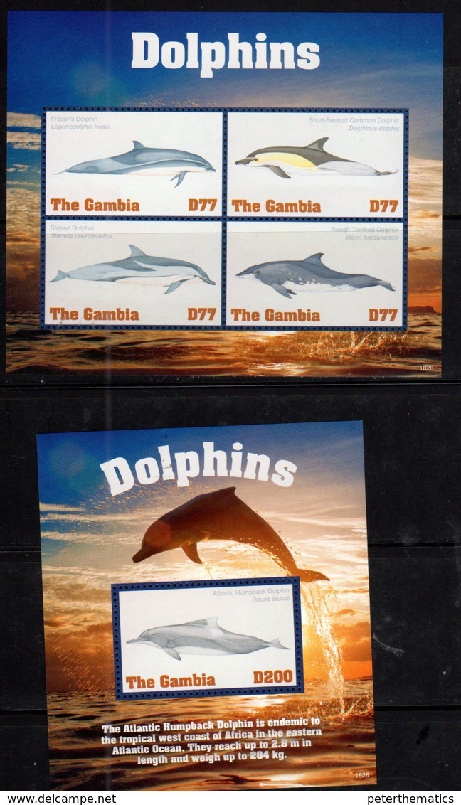 GAMBIA, 2018, MNH, MARINE MAMMALS, DOLPHINS,  SHEETLET+ S/SHEET, HIGH FV - Dolphins