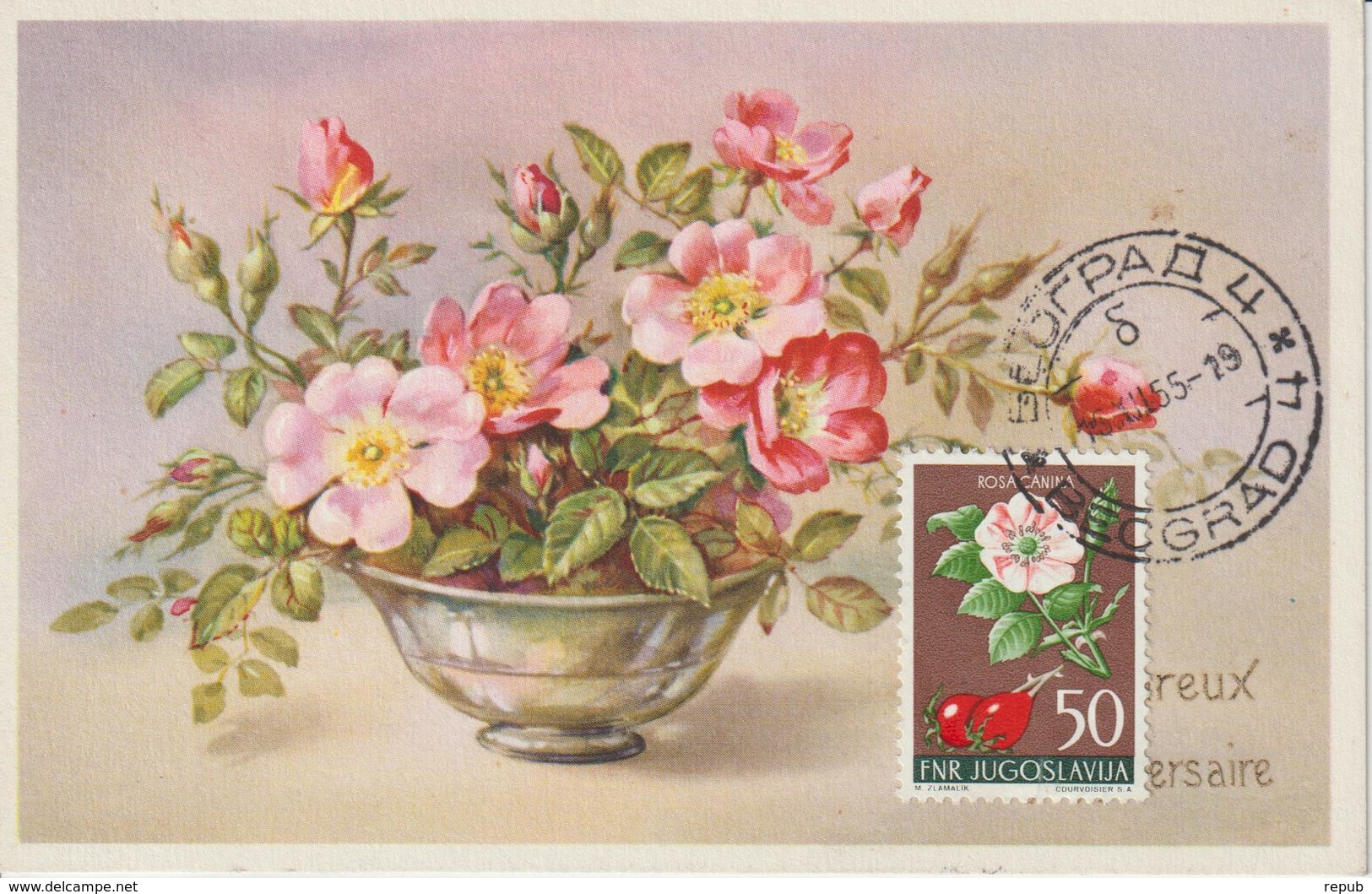 Yougoslavie Carte Maximum Fleurs 1955 Eglantine 673 - Cartes-maximum