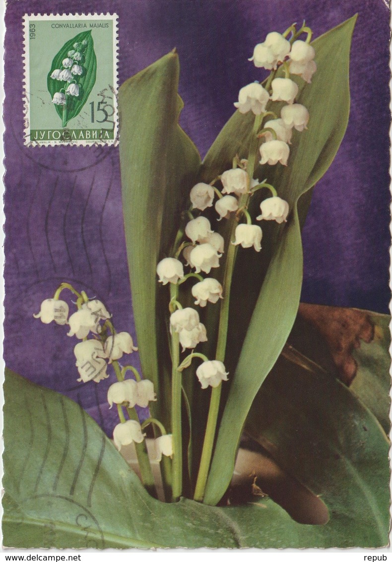 Yougoslavie Carte Maximum Fleurs 1963 Muguet 931 - Cartes-maximum