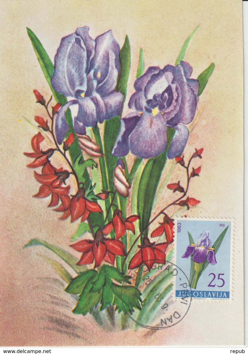 Yougoslavie Carte Maximum Fleurs 1963 Iris 932 - Cartes-maximum