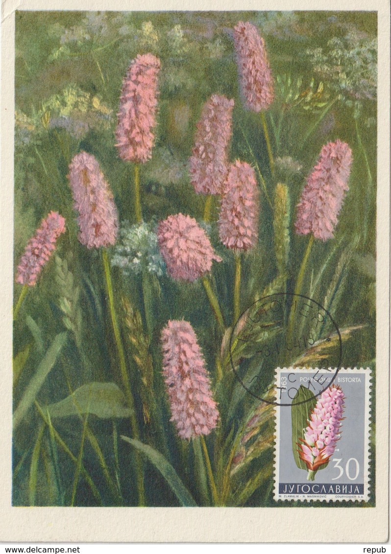 Yougoslavie Carte Maximum Fleurs 1963 Sceau De Salomon 933 - Cartes-maximum