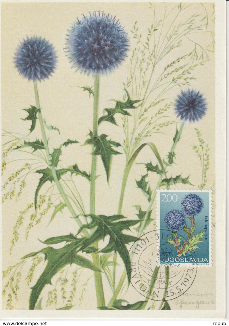 Yougoslavie Carte Maximum Fleurs 1973 Chardon 1397 - Cartes-maximum