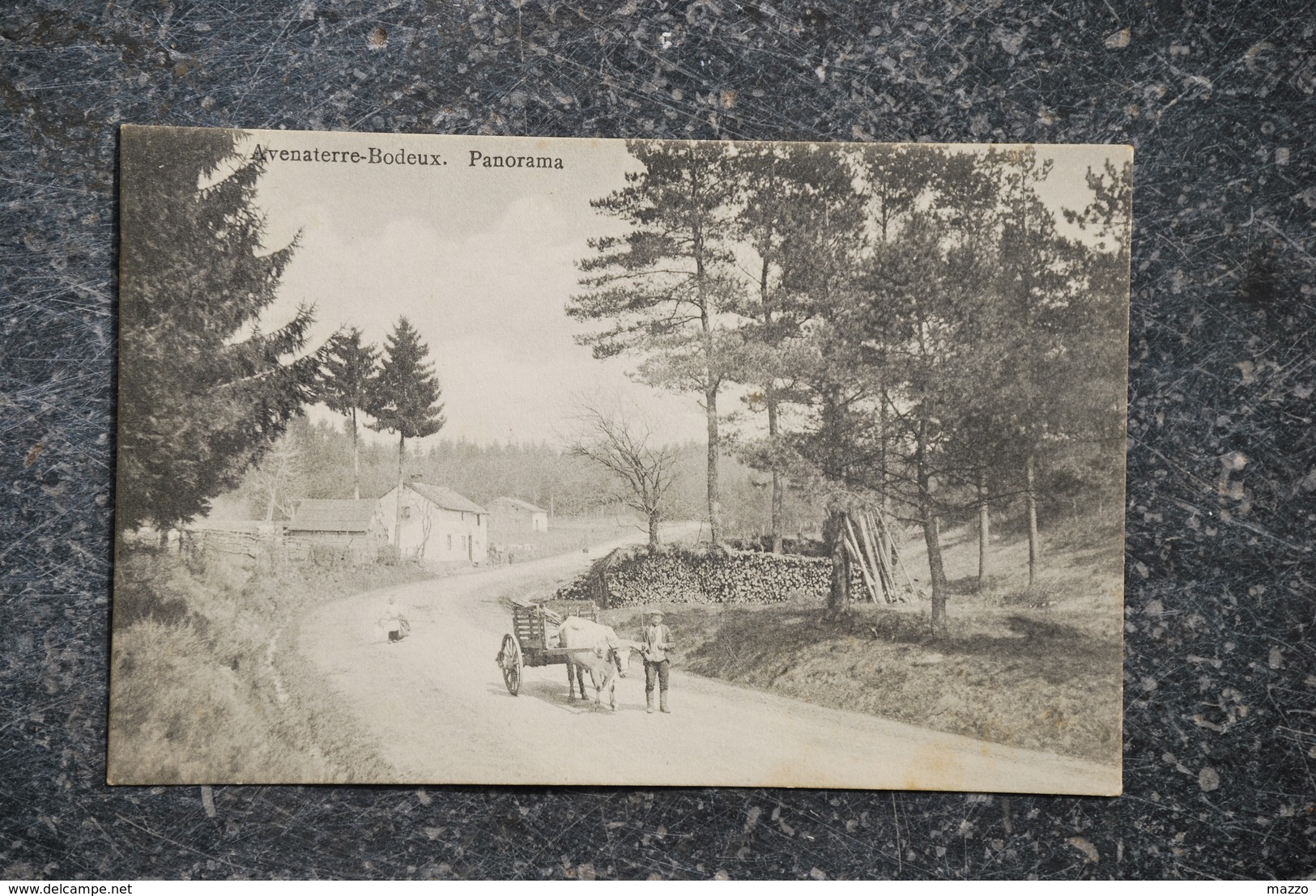 1596/ Avenaterre-Bodeux.(rare)Panorama - Attelage Boeuf- - Trois-Ponts