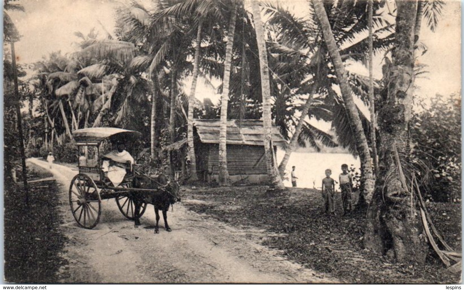 ASIE - SRI LANKA - CEYLAN --  Colombo  - Beside The Kelaniya River - Sri Lanka (Ceylon)