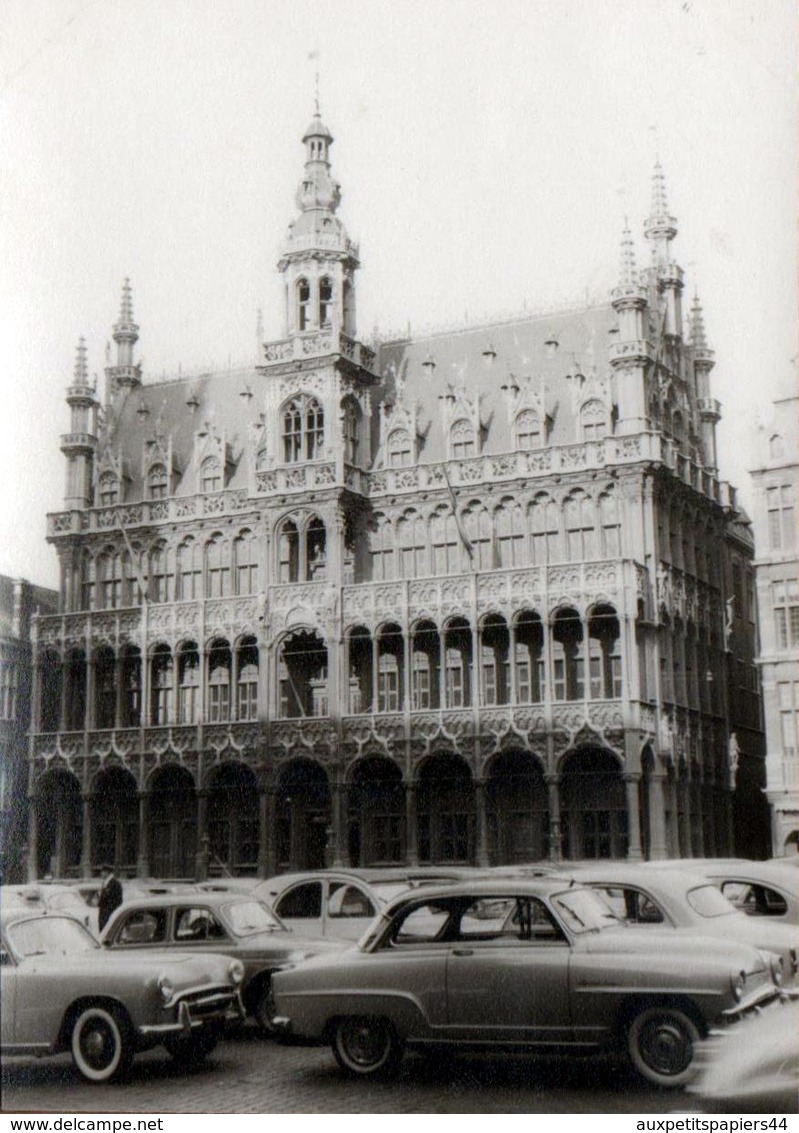 Photo Originale Parking & Concentration De Simca Aronde, Citroën 2 CV, Renault Dauphine Et Peugeot 203 Dans Le Nord - Automobiles