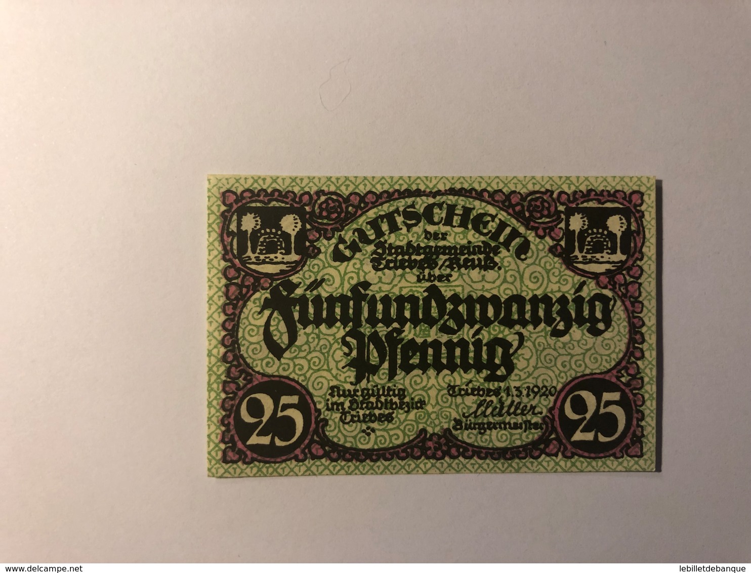 Allemagne Notgeld Triebes 25 Pfennig - Collections