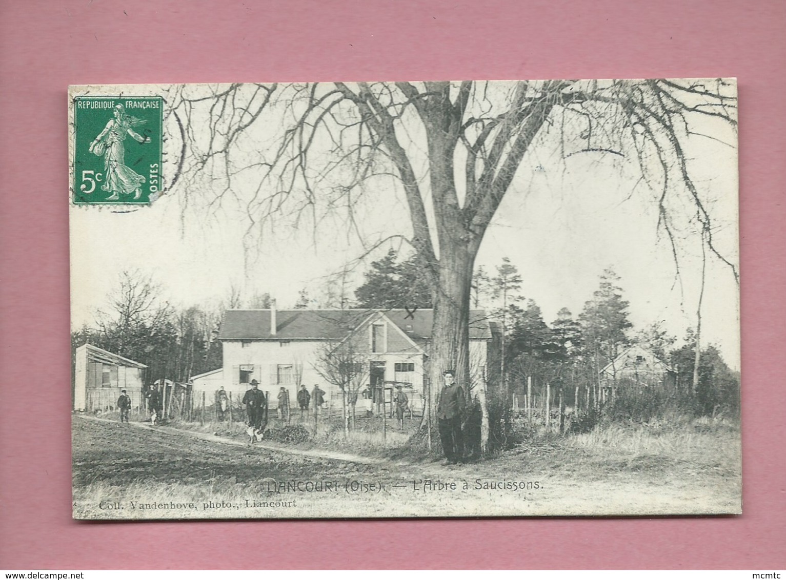 CPA - Liancourt - (Oise) - L'Arbre à Saucissons  ( Arbres , Arbre  ) - Liancourt