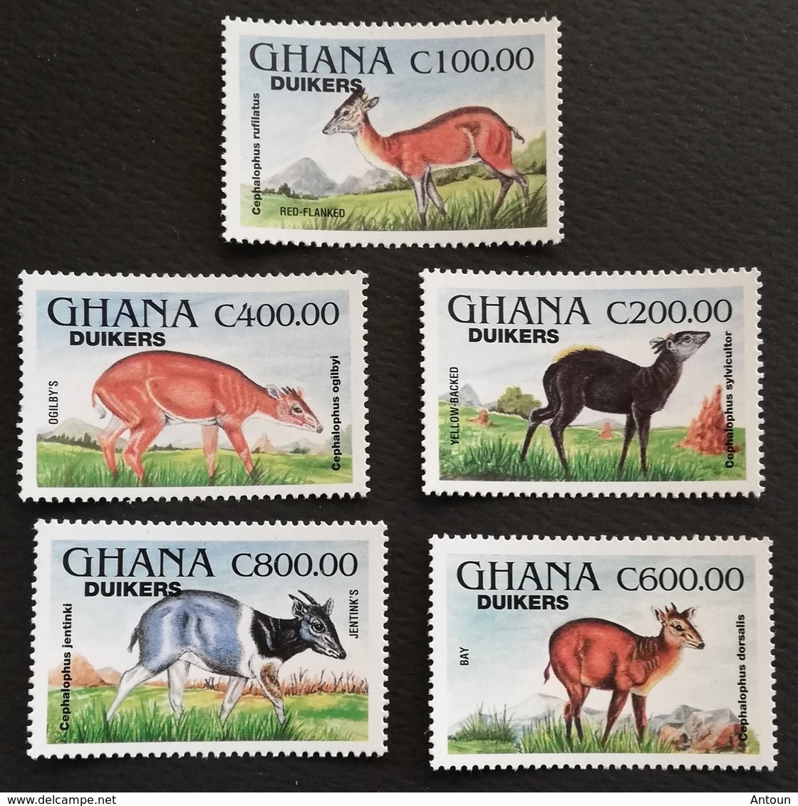 Ghana 1994 Duiker  Antelopes LOT - Ghana (1957-...)