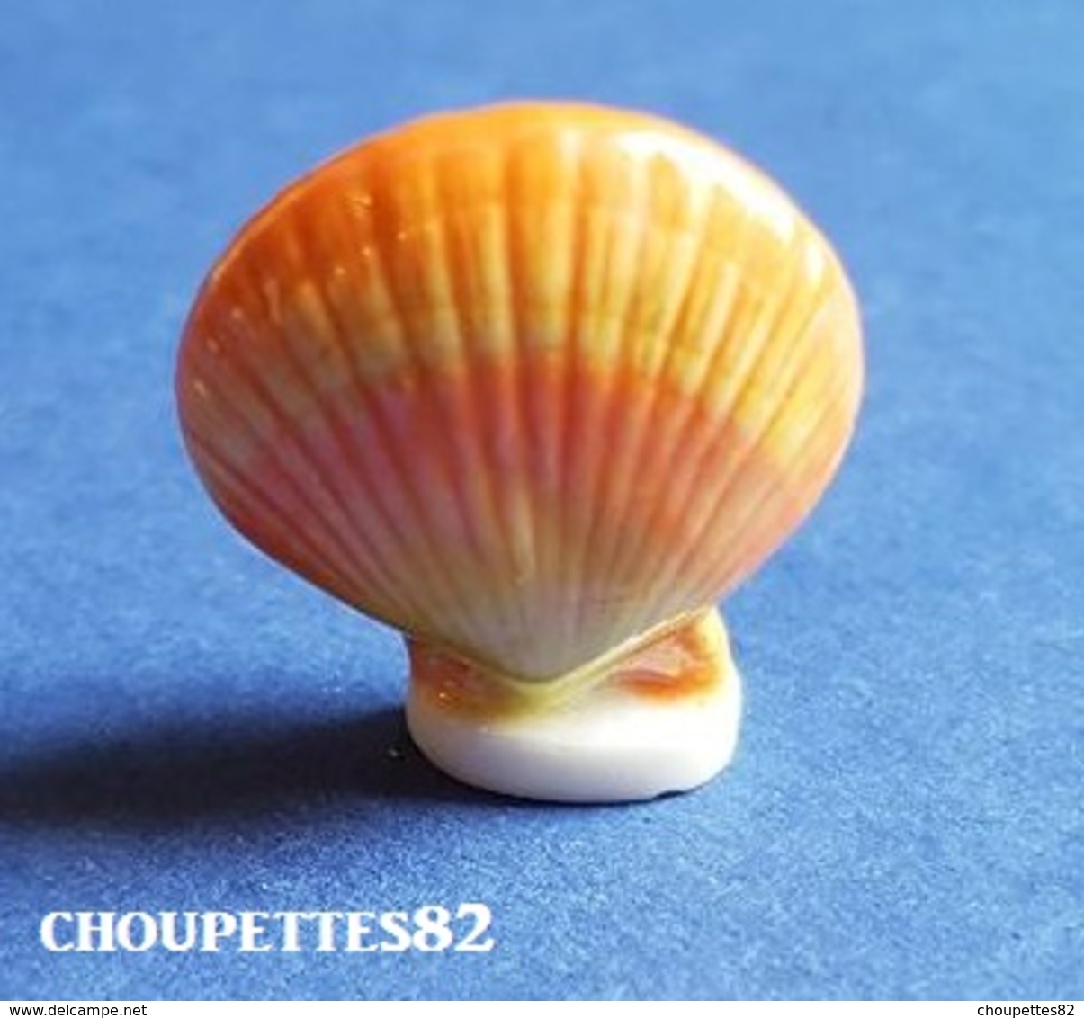 Fèves Fève Mer/crustacé/Coquillage Chlamys Delicatulas*610* - Autres & Non Classés