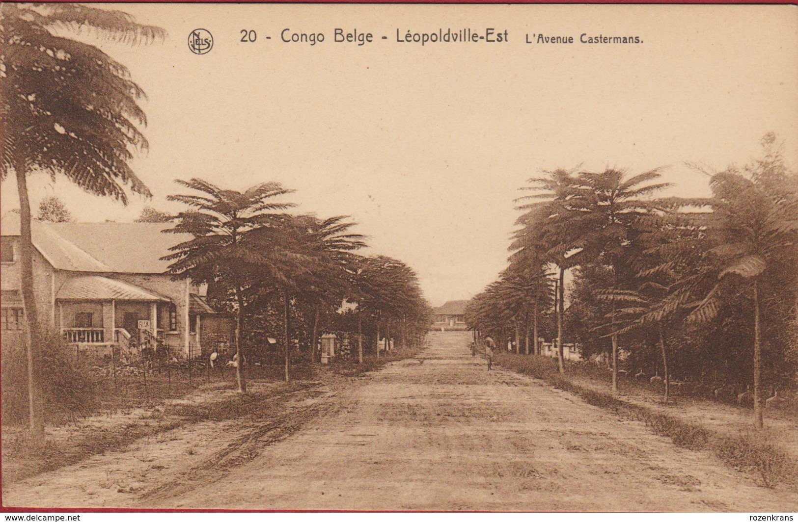 Belgisch Congo Belge Leopoldville Est L' Avenue Castermans Animee Afrique Africa - Kinshasa - Leopoldville (Leopoldstadt)