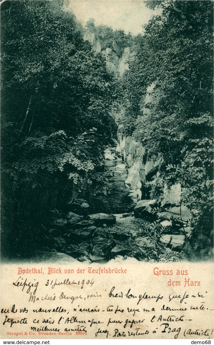 THALE  BODETHAL Allemagne Deutschland Saxe Vue Depuis Le Teufelsbrücke  Gruss Aus Dem Harz  Carte Pionnière 1904 - Thale