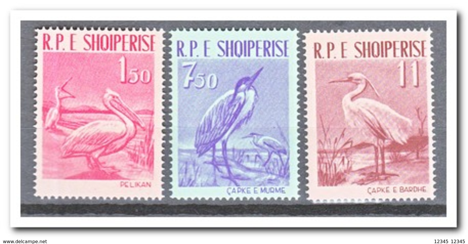 Albanië 1961, Postfris MNH, Birds - Albanië