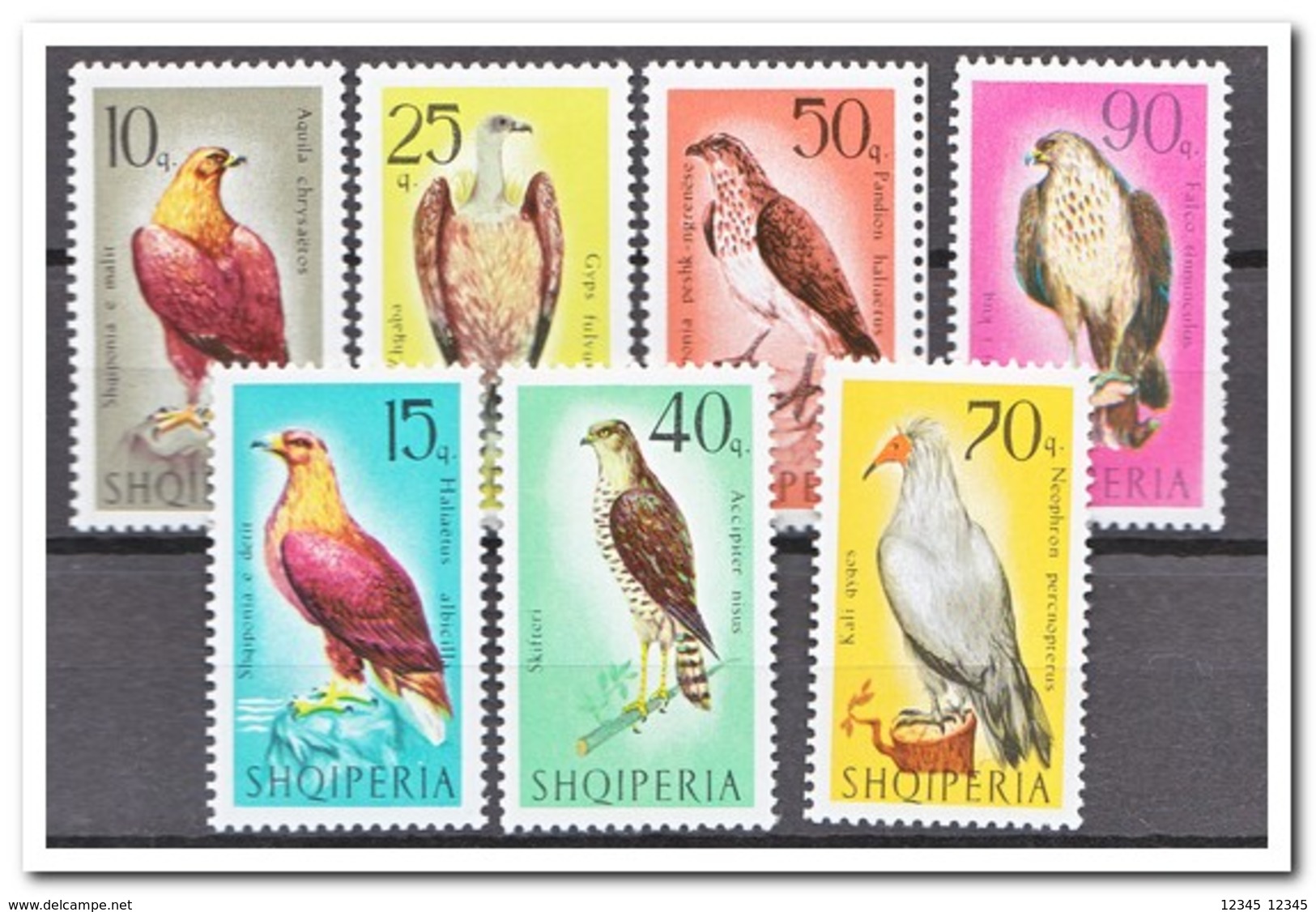 Albanië 1966, Postfris MNH, Birds - Albanië