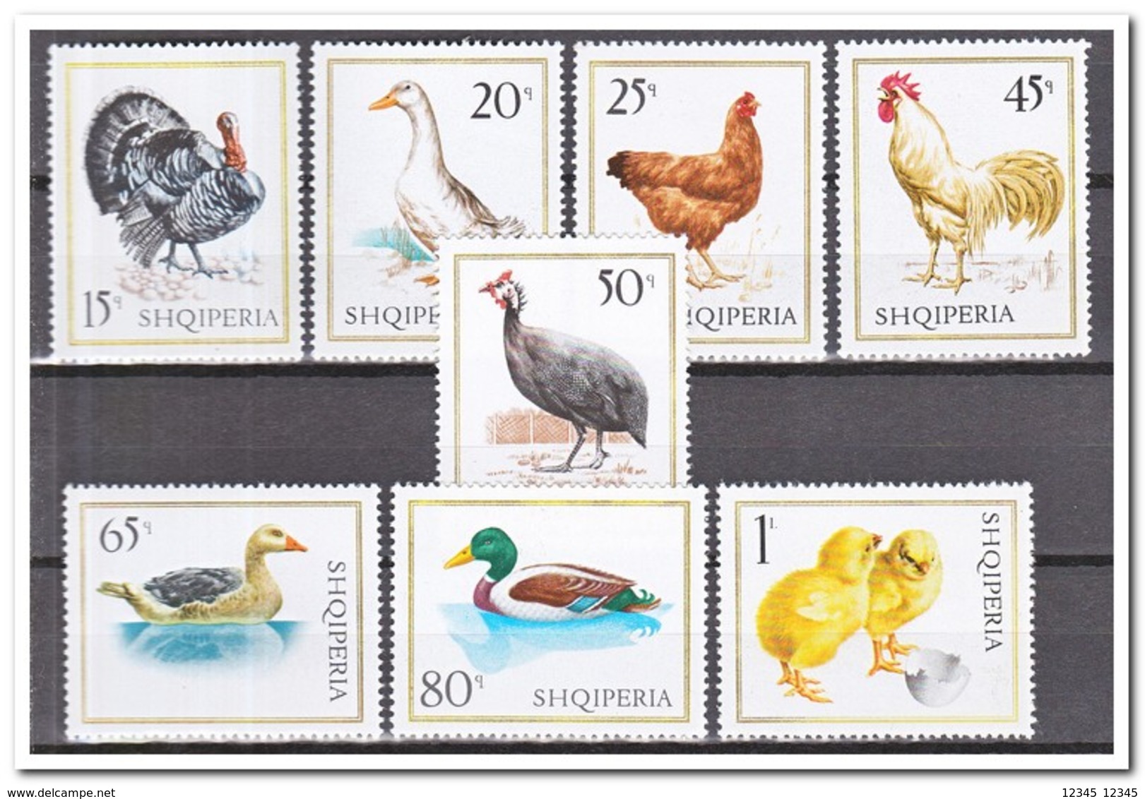 Albanië 1967, Postfris MNH, Birds - Albanië