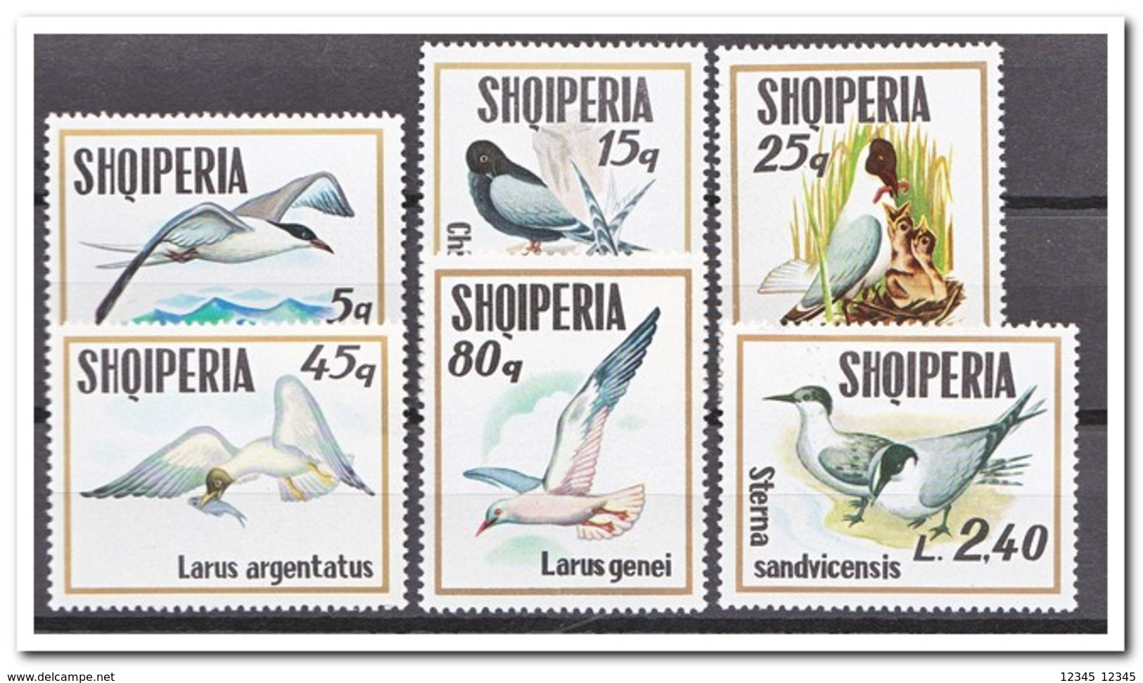 Albanië 1973, Postfris MNH, Birds - Albanië