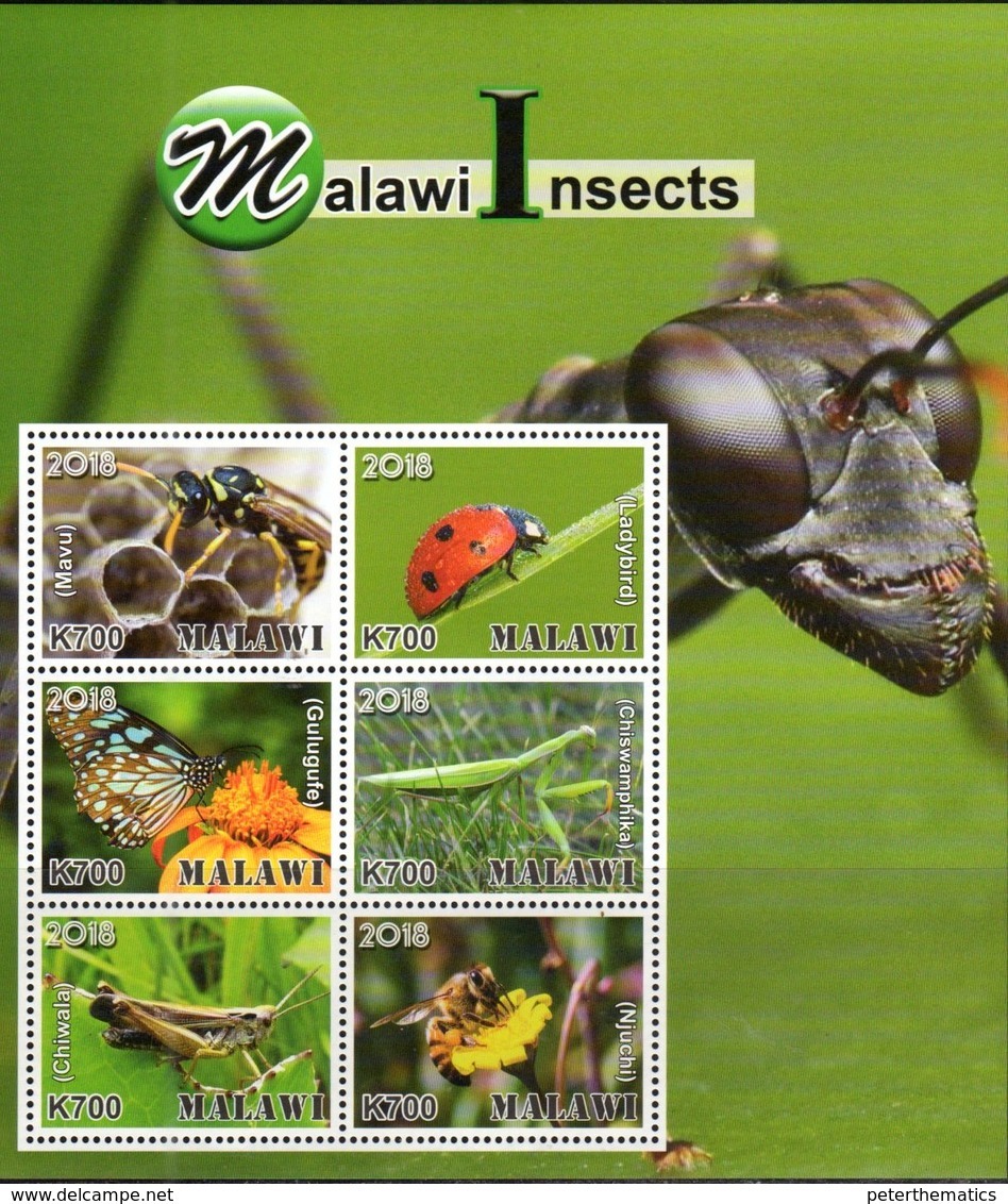 MALAWI, 2018, MNH, INSECTS, BEES, ANTS, LADYBUGS, BUTTERFLIES, MANTIS, WASPS, SHEETLET + 6 S/SHEETS , OFFICIAL ISSUE - Honeybees