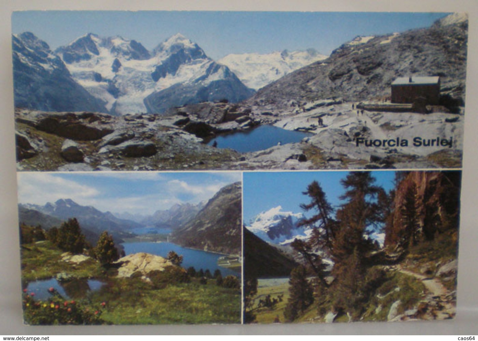 Fuorcla Surlej Svizzera Cartolina 1992 - Altri & Non Classificati