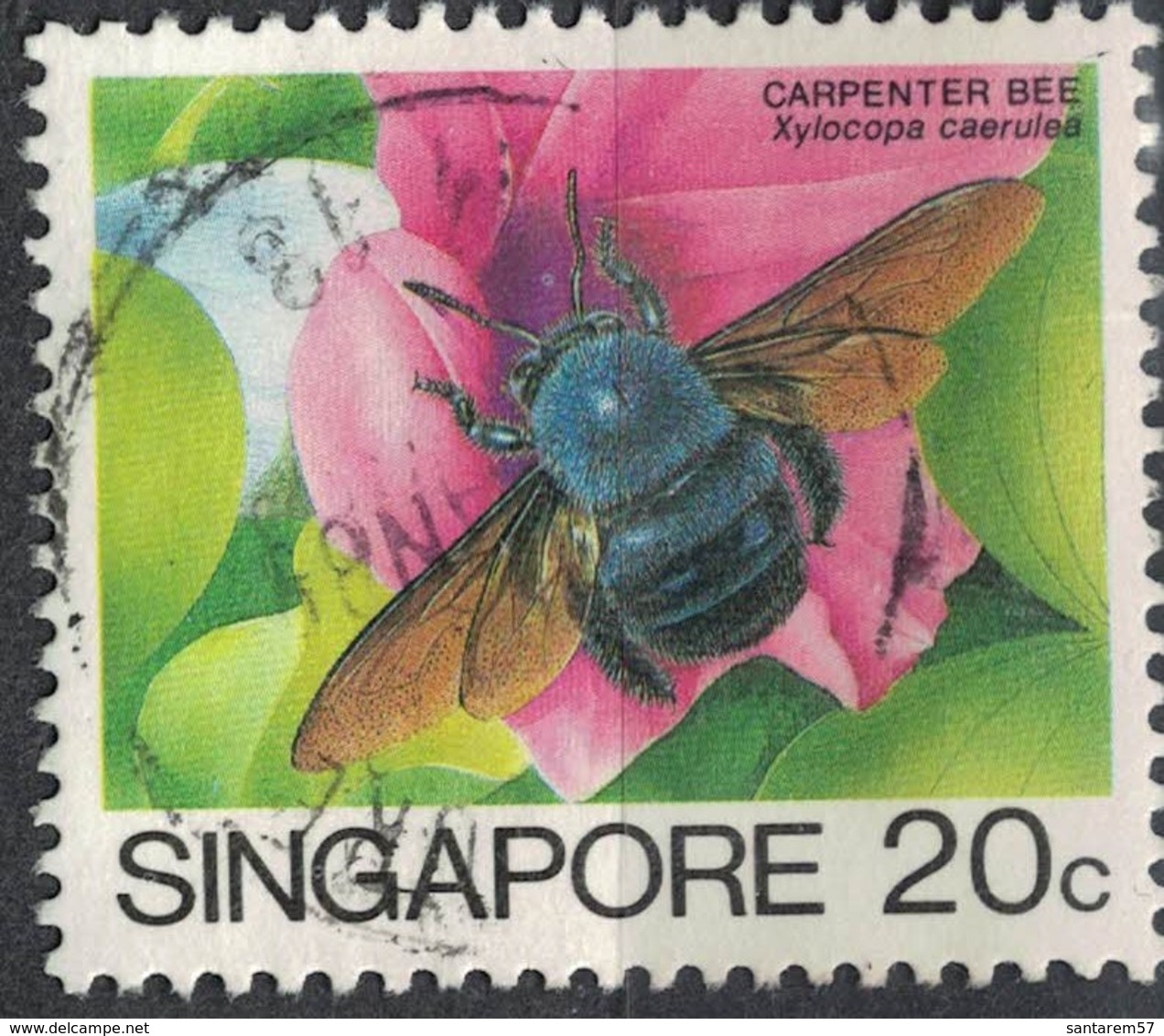 Singapour 1988 Oblitéré Used Insecte Xylocopa Caerulea Abeille Charpentière Bleue SU - Singapour (1959-...)