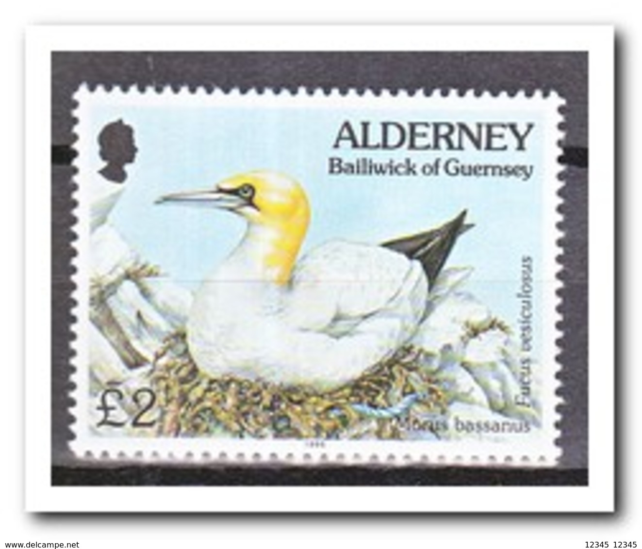 Alderney 1995, Postfris MNH, Birds - Alderney