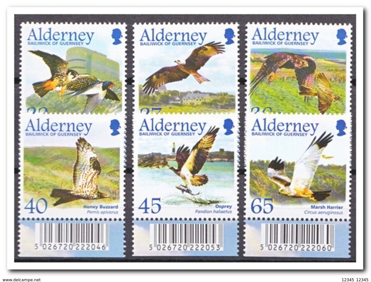 Alderney 2002, Postfris MNH, Birds - Alderney