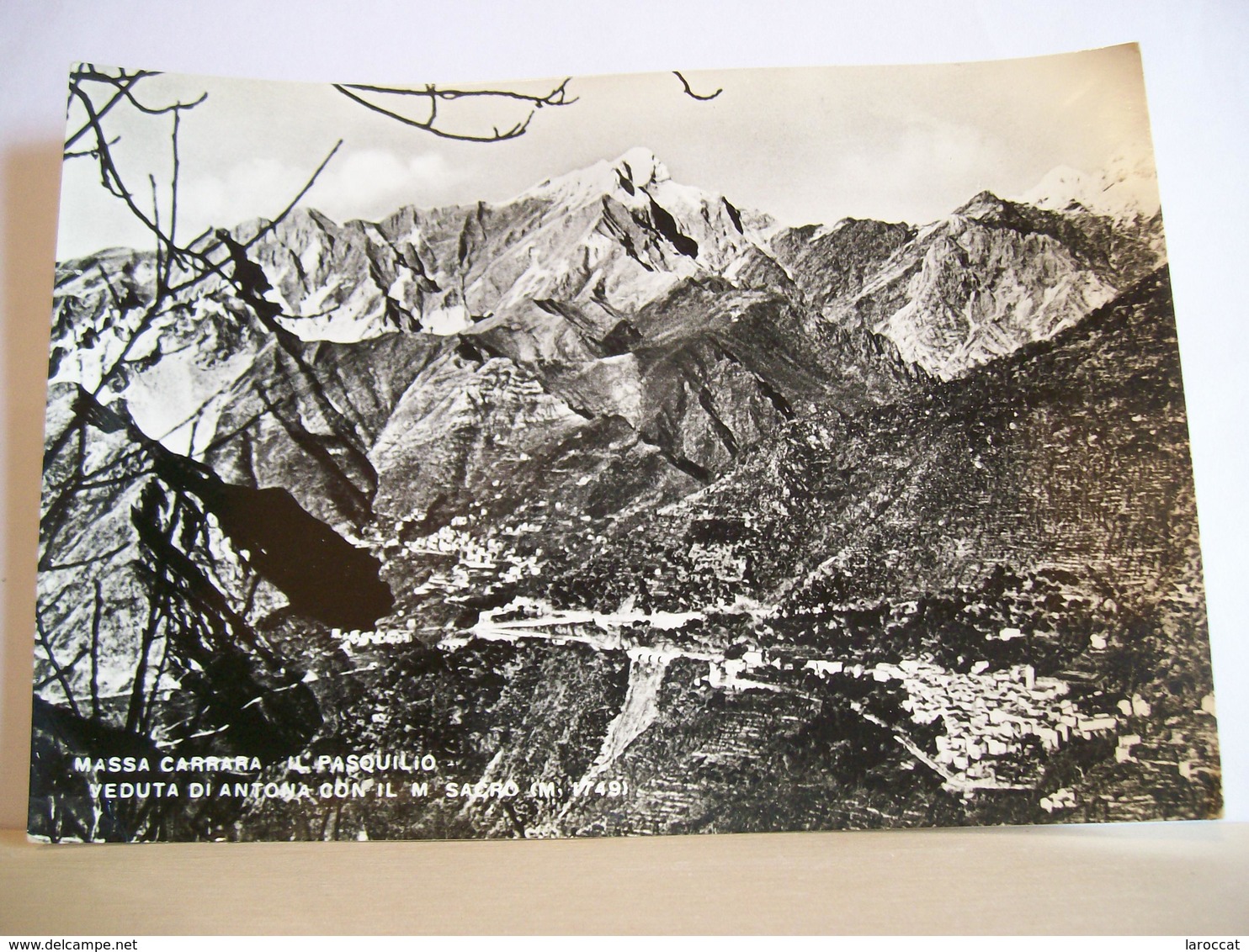 1959 - Massa  Carrara -  Il Pasquillo - Veduta Di Antona - Il Monte Sacro - Alpi Apuane - Carrara