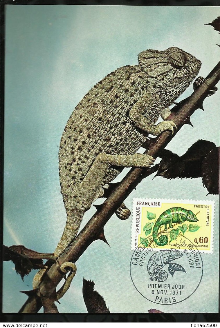 CAMELEON DE LA REUNION . 06 NOVEMBRE 1971 . PARIS . - 1970-1979