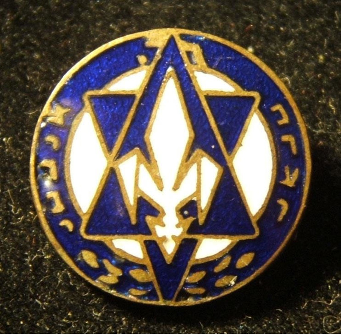 Eretz Israeli Tnuat HaNoar HaTzioni (Zionist Youth) Movement Judaica Pin 1930s - Autres & Non Classés