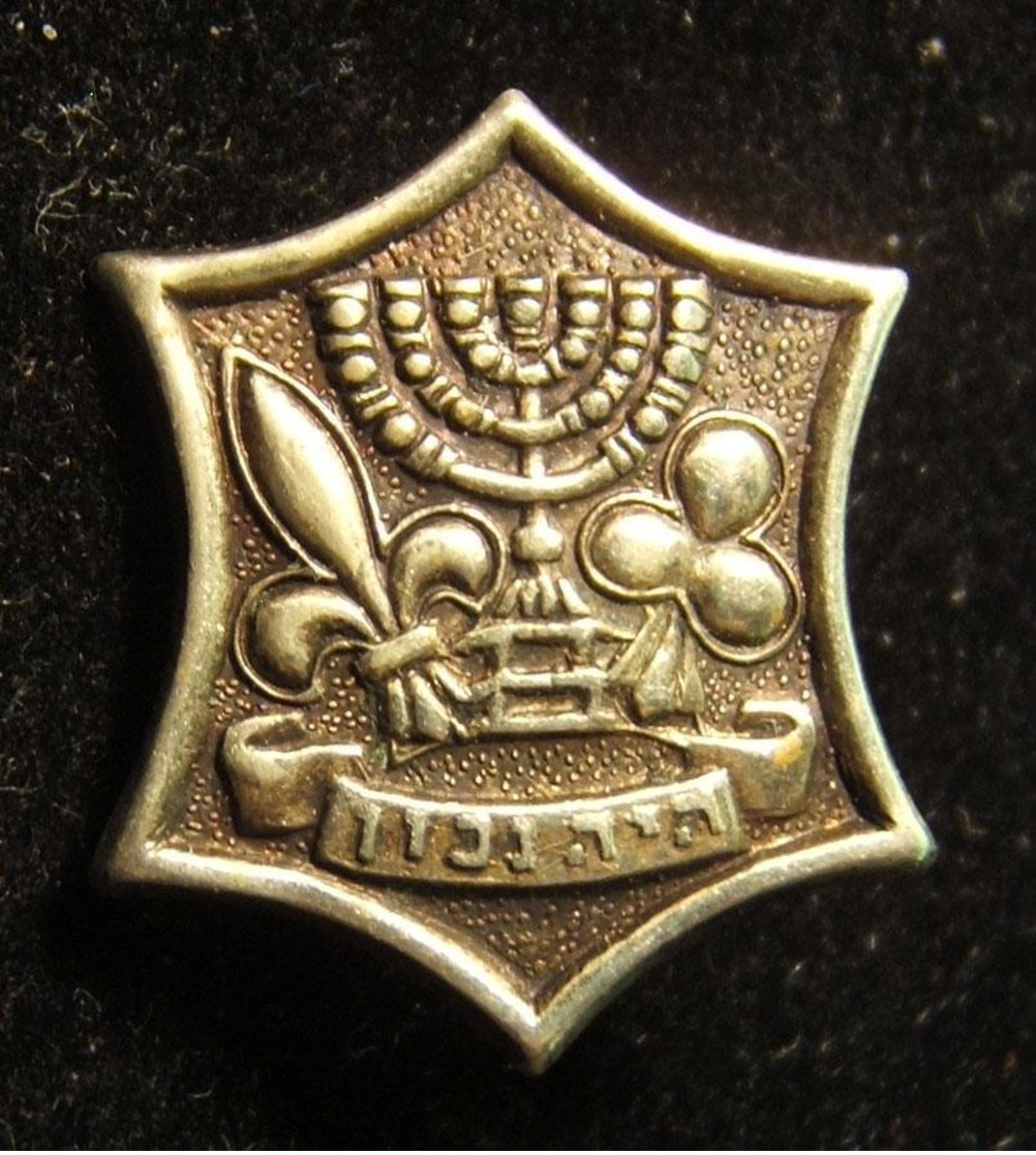 Lot 13x Pins & Emblems Related To The Israeli Boy Scouts Movement - Asociaciones