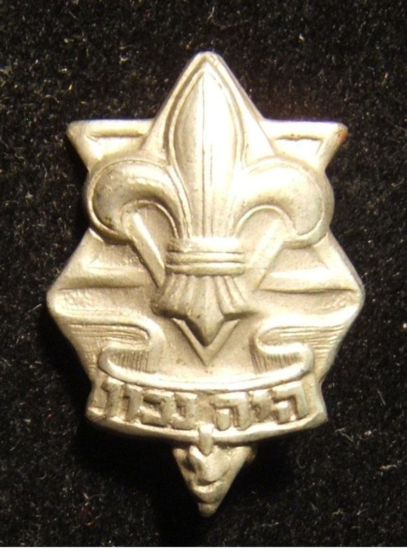 Lot 13x Pins & Emblems Related To The Israeli Boy Scouts Movement - Asociaciones