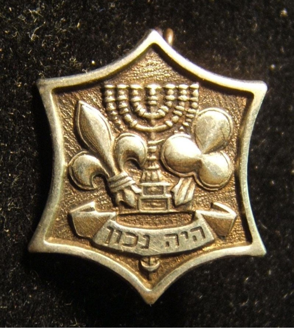 Lot 13x pins & emblems related to the Israeli Boy Scouts movement