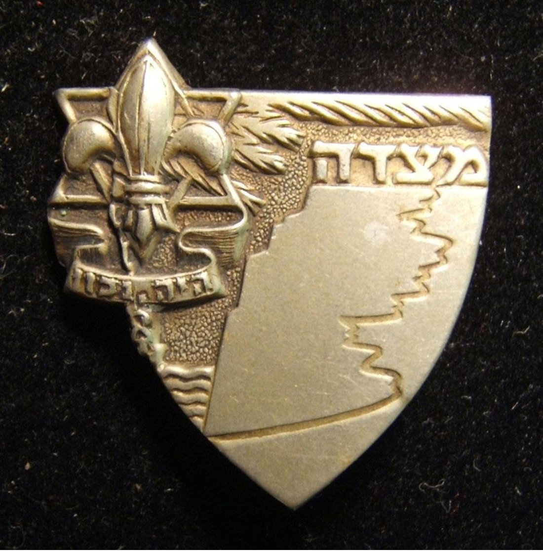 Lot 13x pins & emblems related to the Israeli Boy Scouts movement