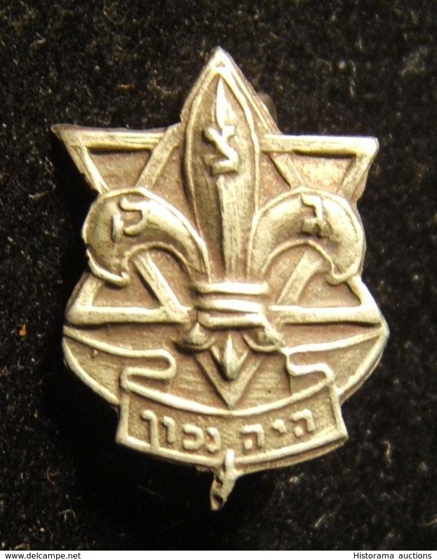 Lot 13x pins & emblems related to the Israeli Boy Scouts movement