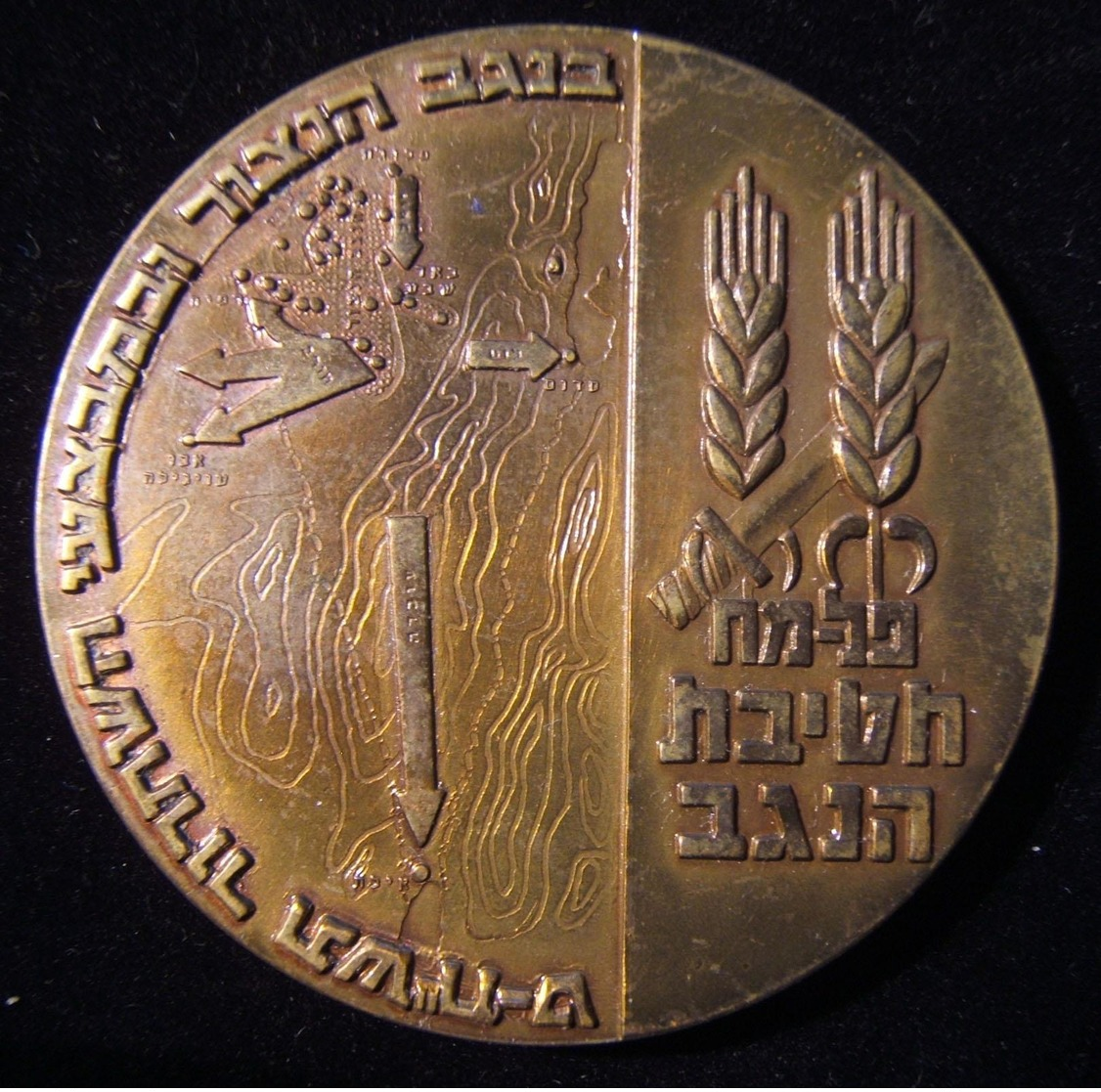 Israeli Army/IDF/Palmach Negev Brigade Memorial Monument Commemoration Medal 1968 - Casques & Coiffures