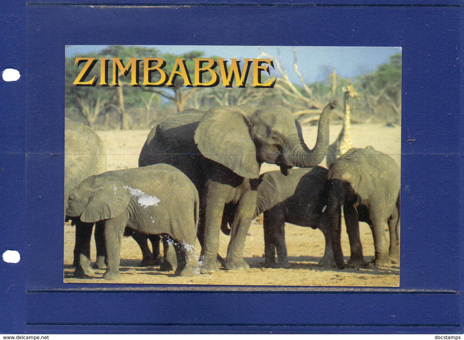 ##(DAN194)-Zimbabwe 1998- $7,40 Fossil Stamp On Elephants Postcard From Victoria Falls To Rome-Italy - Zimbabwe (1980-...)