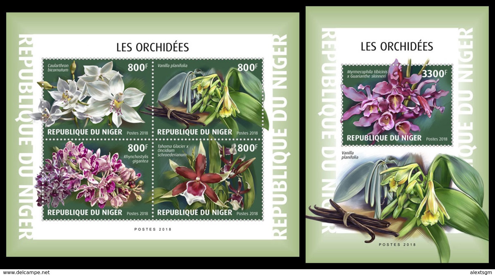 NIGER 2018 - Orchids, M/S + S/S. Official Issue - Orchideeën