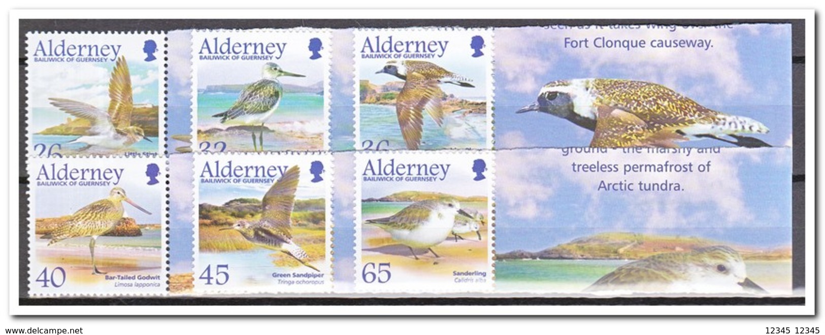 Alderney 2005, Postfris MNH, Birds - Alderney