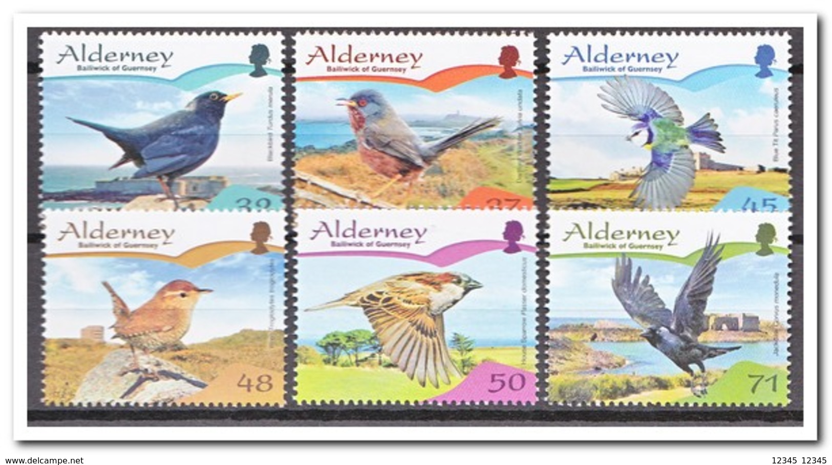 Alderney 2007, Postfris MNH, Birds - Alderney