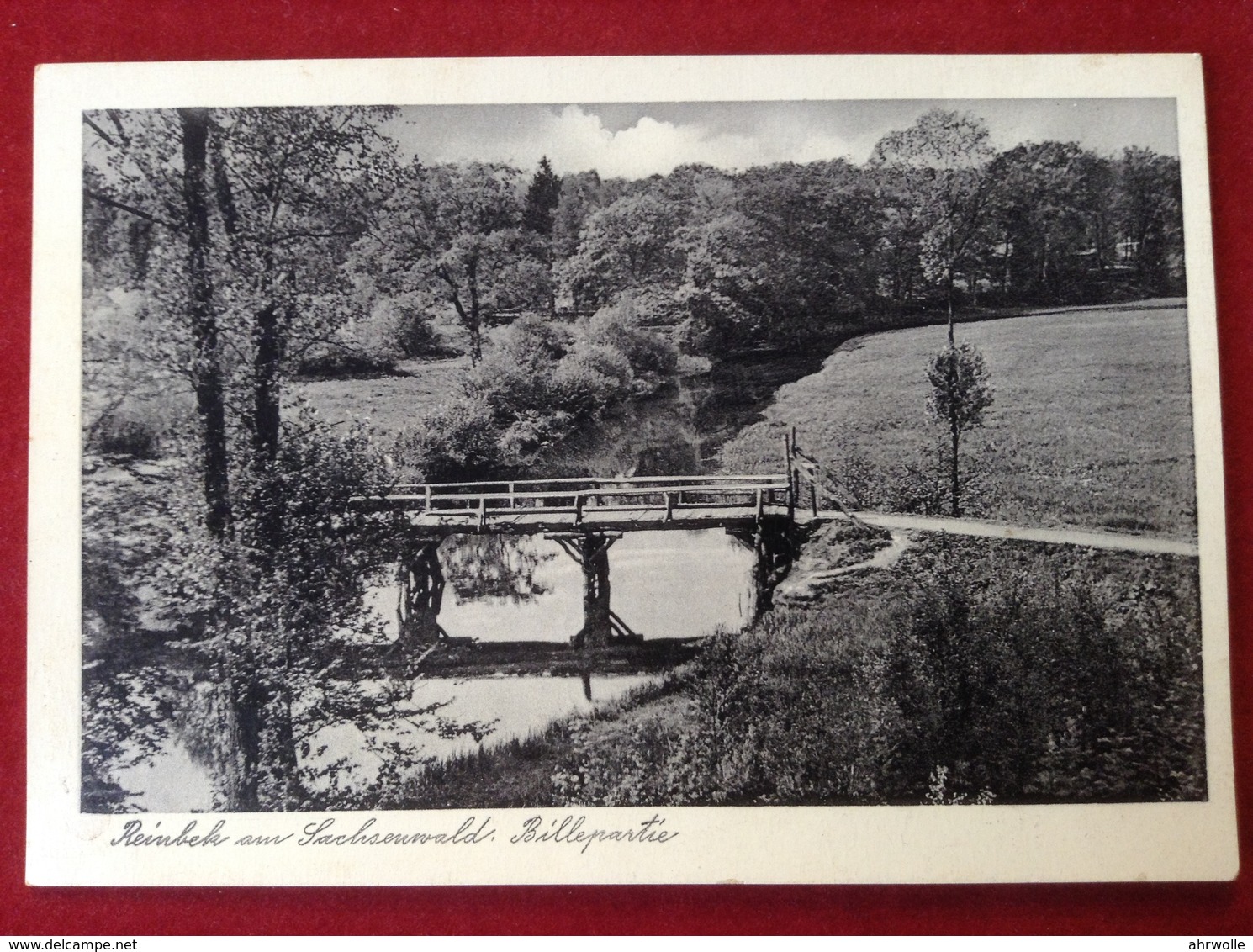 AK Reinbek Am Sachsenwald Billepartie Ca. 1930 - Reinbek