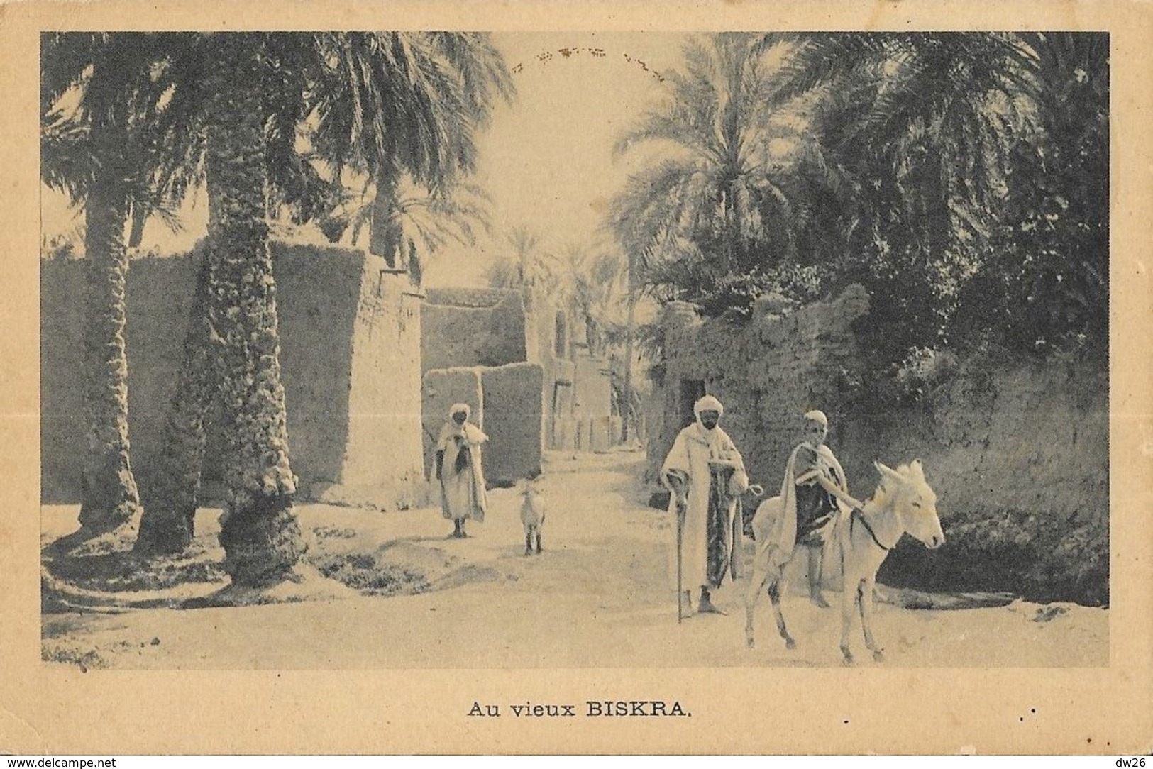 Algérie - Rue Au Vieux Biskra - Edition Soeurs Missionnaires De N.D. D'Afrique - Carte Non Circulée - Biskra