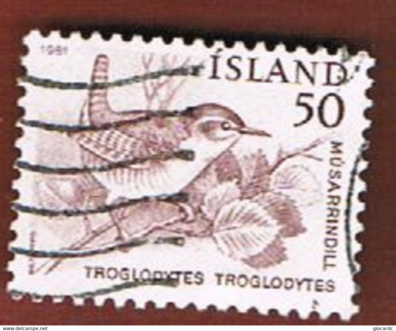 ISLANDA (ICELAND)  -  SG 598 - 1981  BIRDS               -   USED - Usati