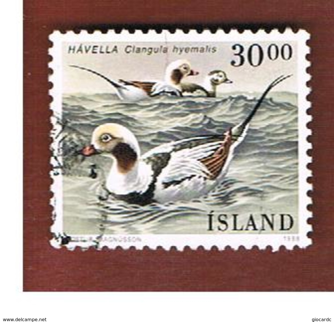 ISLANDA (ICELAND)  -  SG 721 - 1988 BIRDS      -   USED - Usados