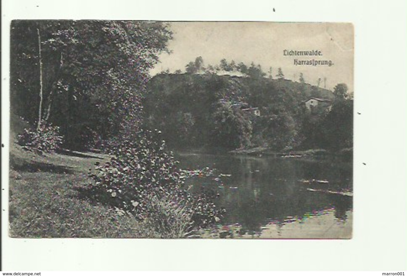 Lichtenwalde - Stempel 1916 ( 2 Scans) - Andere & Zonder Classificatie