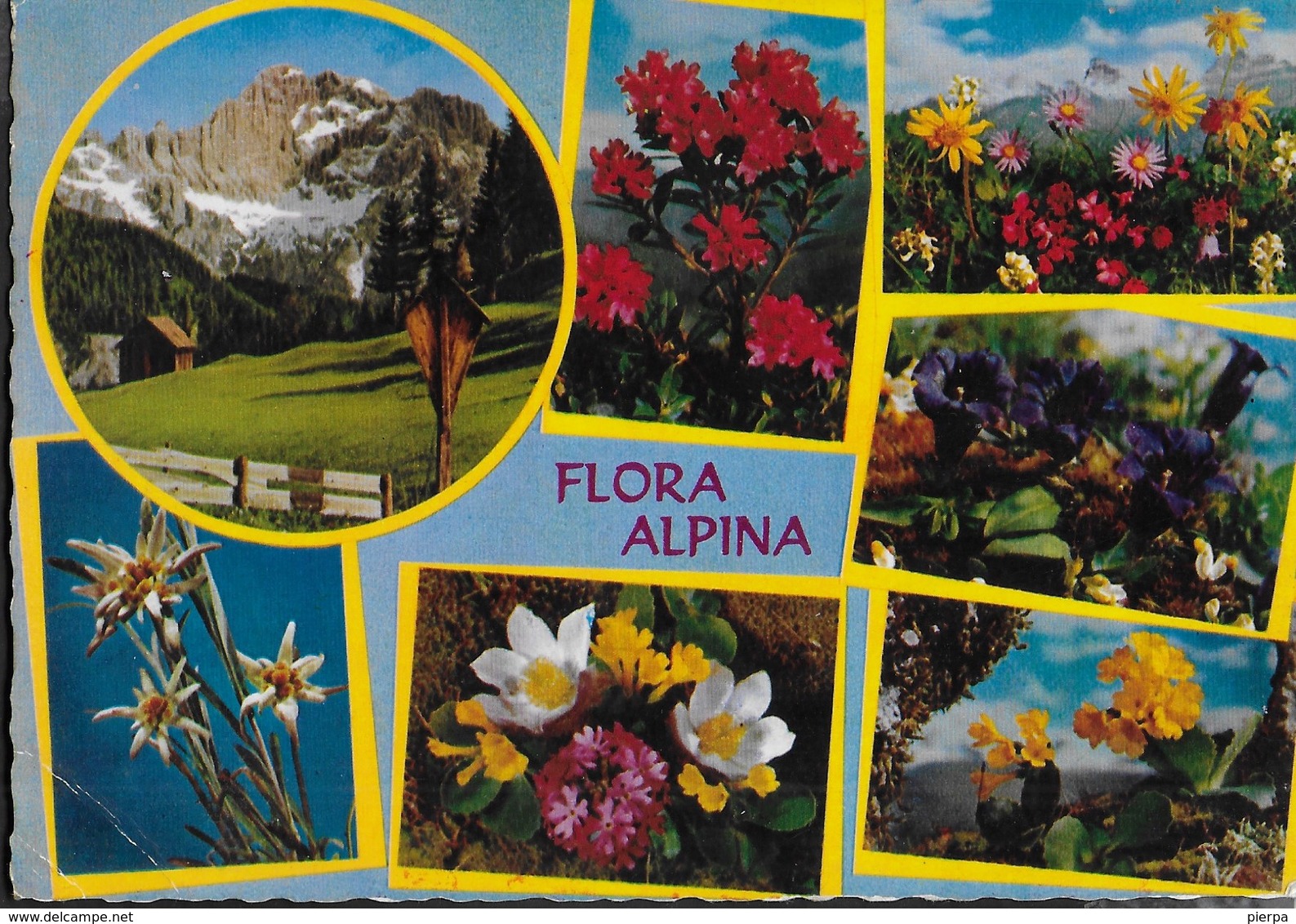 FLORA ALPINA - EDIZ. CECAMI #211 - VIAGGIATA 1978 - Fiori