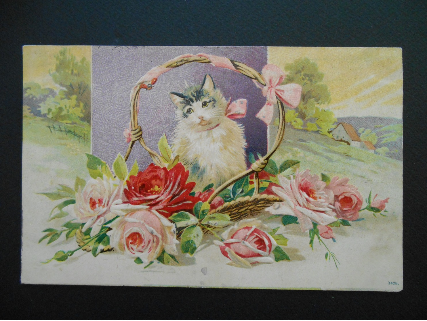 Chats - Chat Blanc Et Gris Dans Panier De Roses, Ruban Rose, Paysage Campagne - Gaufrée - Série 997 - Katzen