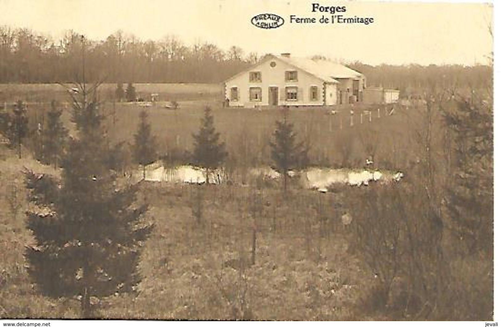 CPA /PK /  AK  -  FORGES  Ferme De L'Ermitage - Chimay