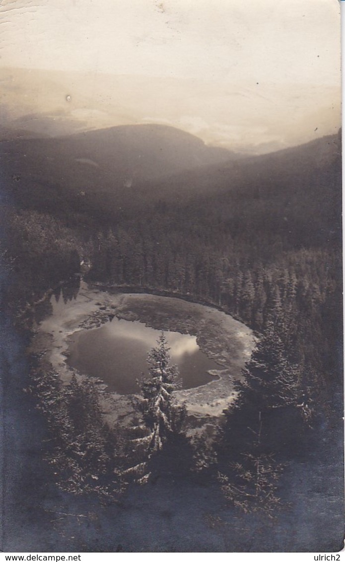 AK Foto Schwarzwald - Malsch - See Im Wald - 1927 (40227) - Ettlingen