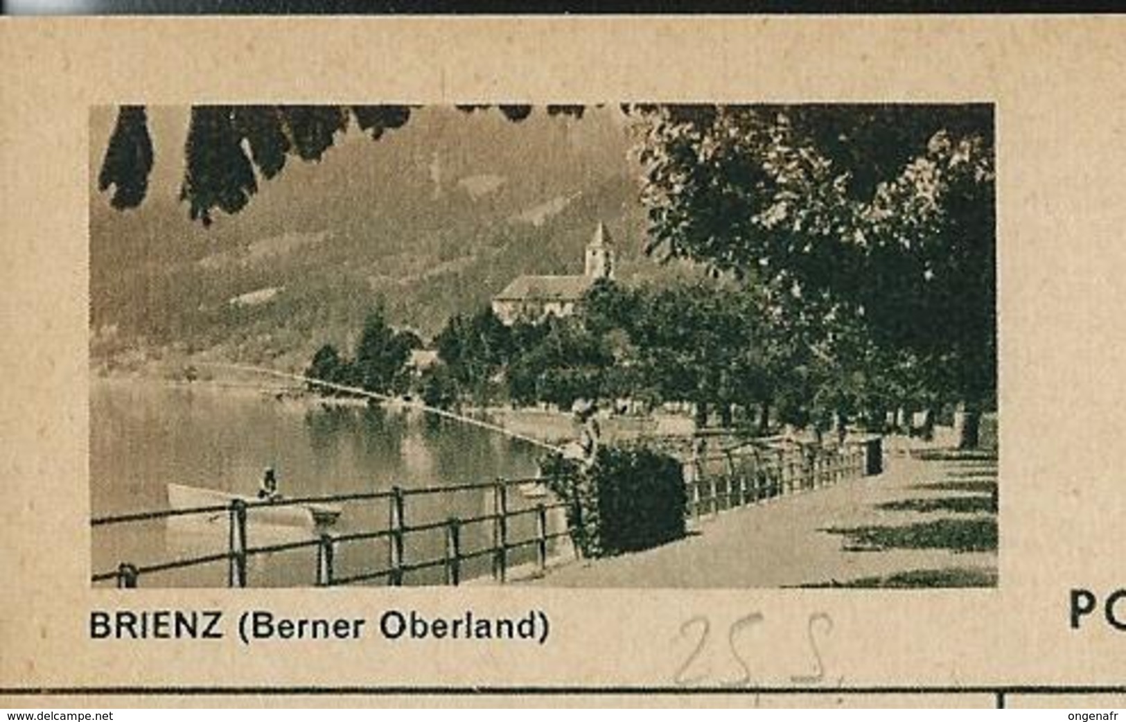 Carte Illustrée Neuve N° 182 - 083 F  BRIENZ (Berner Oberland)  Pêcheur à La Ligne  (Zumstein 2009) - Postwaardestukken