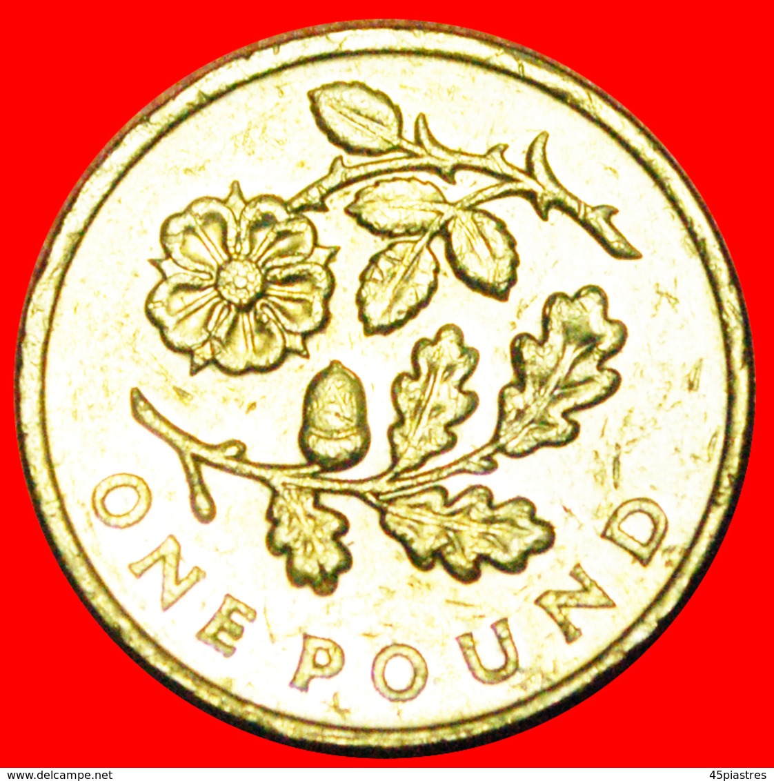 # OAK AND ROSE: GREAT BRITAIN ★ 1 POUND 2013 ENGLAND! LOW START ★ NO RESERVE! - 1 Pound