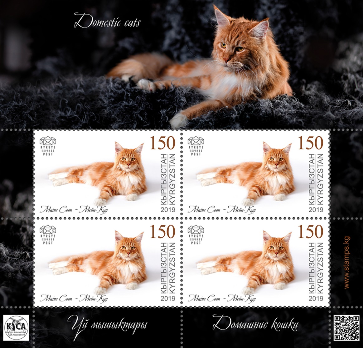 H01 Kyrgyzstan 2019 Mi# 127 Cats Katzen Mini Sheet MNH Postfrisch - Kirghizistan